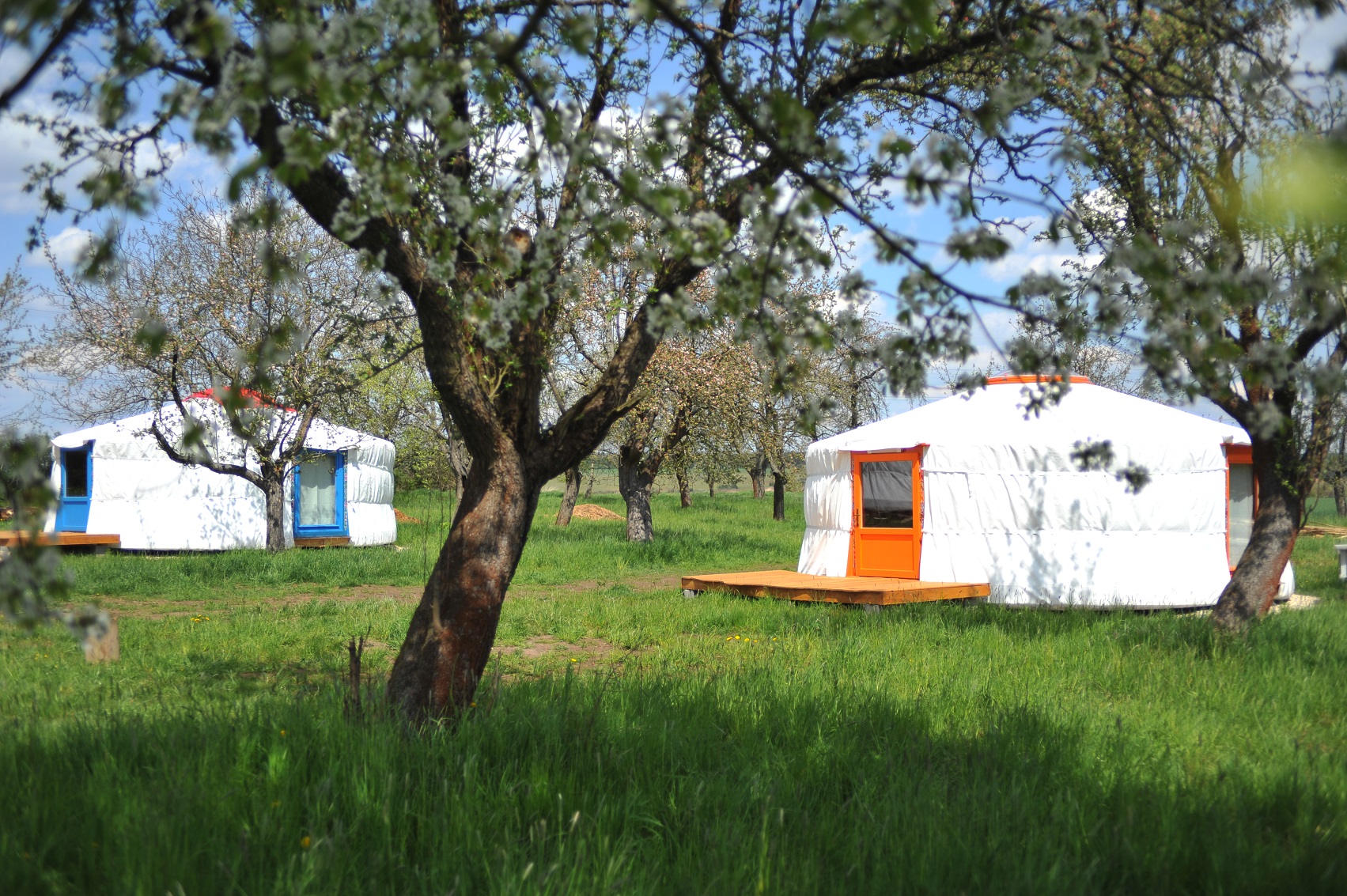 The yurt village